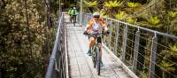 McPherson Creek swingbridge |  <i>Lachlan Gardiner</i>