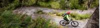 Milltown Creek switchbacks | West Coast Wilderness Trail |  <i>Lachlan Gardiner</i>
