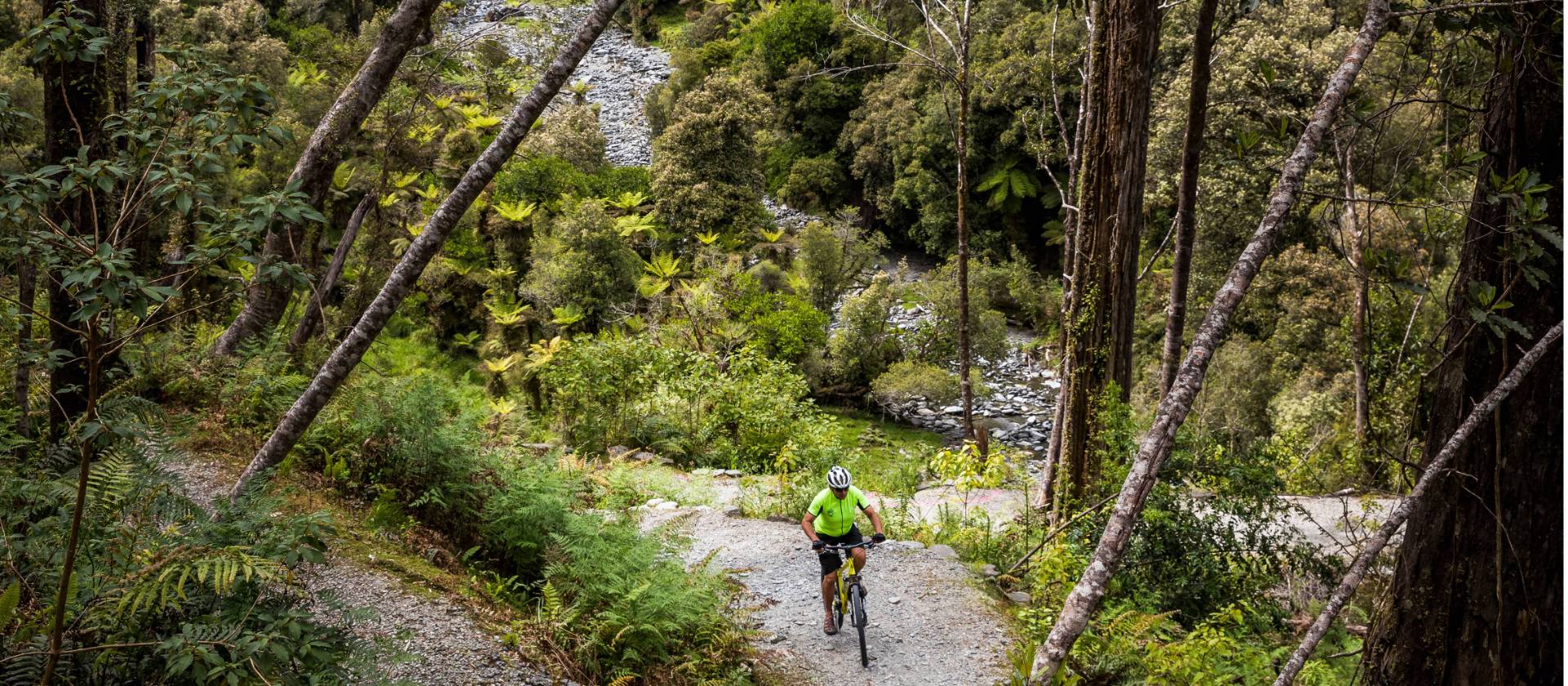 Milltown Valley switchbacks | West Coast Wilderness Trail | Lachlan Gardiner