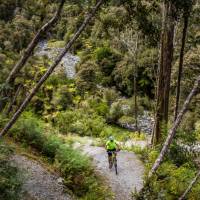 Milltown Valley switchbacks | West Coast Wilderness Trail | Lachlan Gardiner