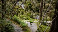 Milltown Valley switchbacks | West Coast Wilderness Trail |  <i>Lachlan Gardiner</i>