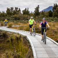 Kawhaka boardwalk | West Coast | Lachlan Gardiner