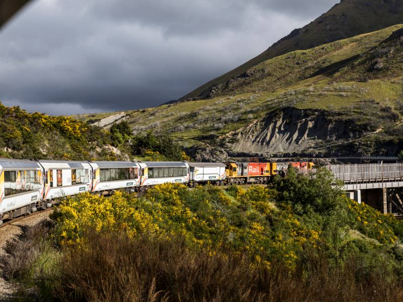 Experience the world class TranzAlpine train journey from the West Coast to Christchurch |  <i>Lachlan Gardiner</i>