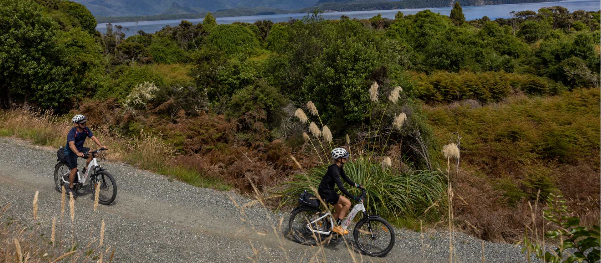 Ride between two gorgeous Fiordland Lakes, Te Anau and Manapouri, spotting unique native flora & fauna along the way! | Izzi Barton