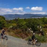 Ride between two gorgeous Fiordland Lakes, Te Anau and Manapouri, spotting unique native flora & fauna along the way! | Izzi Barton