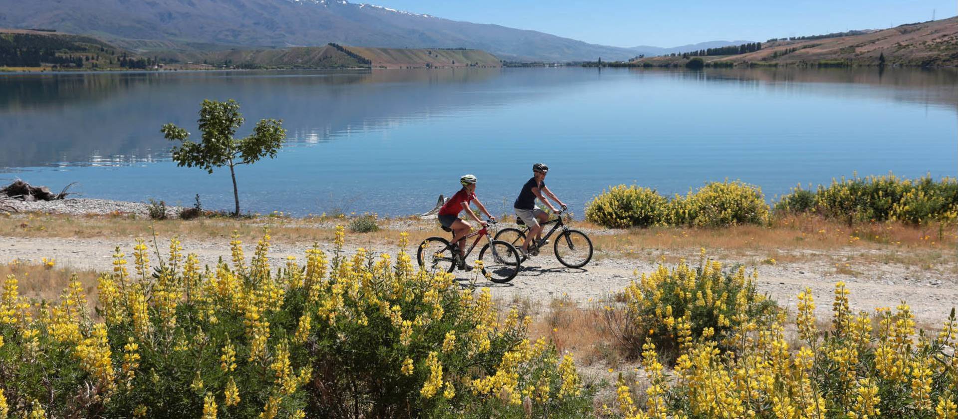 Cycling alongside Lake Dunstan | James Jubb, Tourism Central Otago