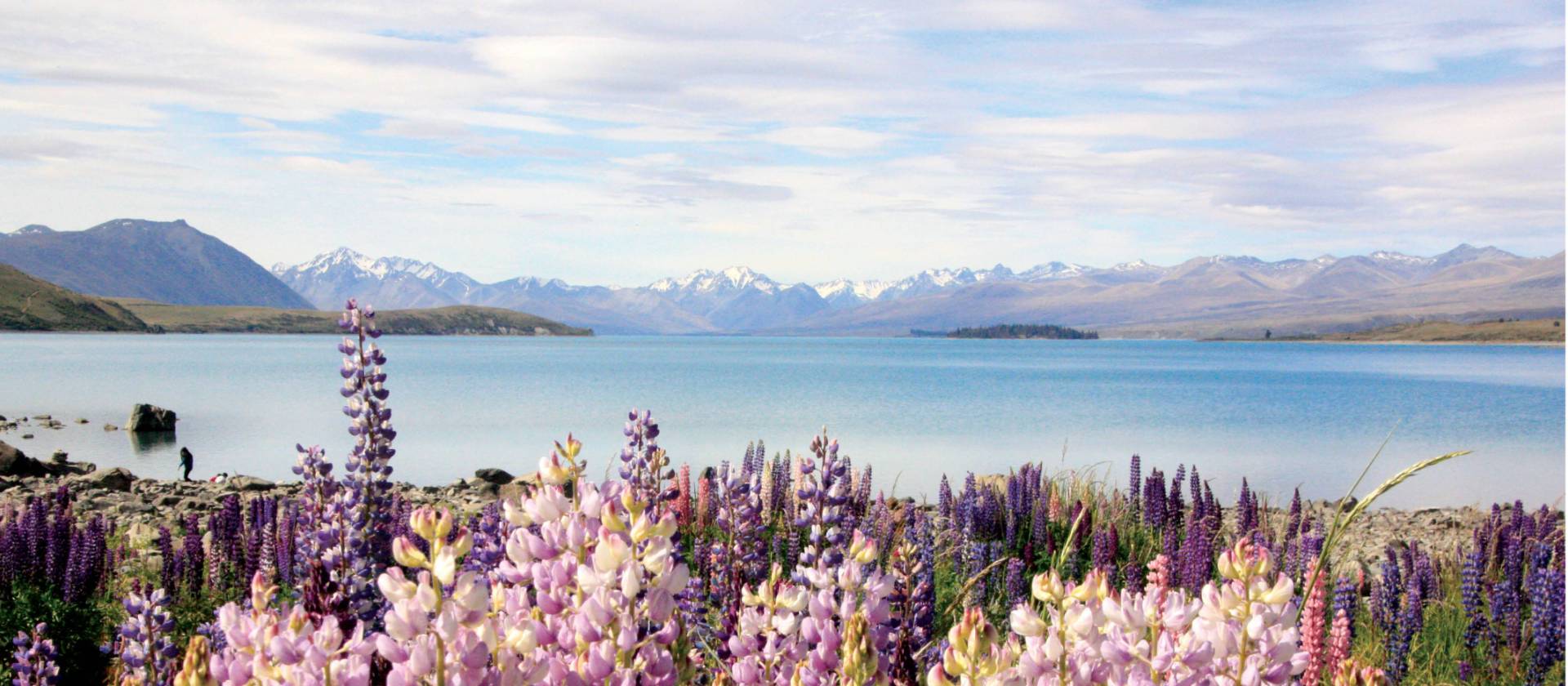 Best Of Southern Alps Trekking Holiday New Zealand - 