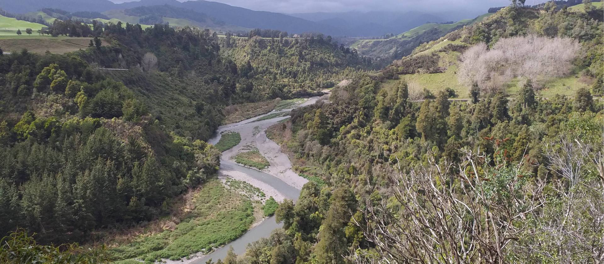 Whanganui River | Anne Lowerson
