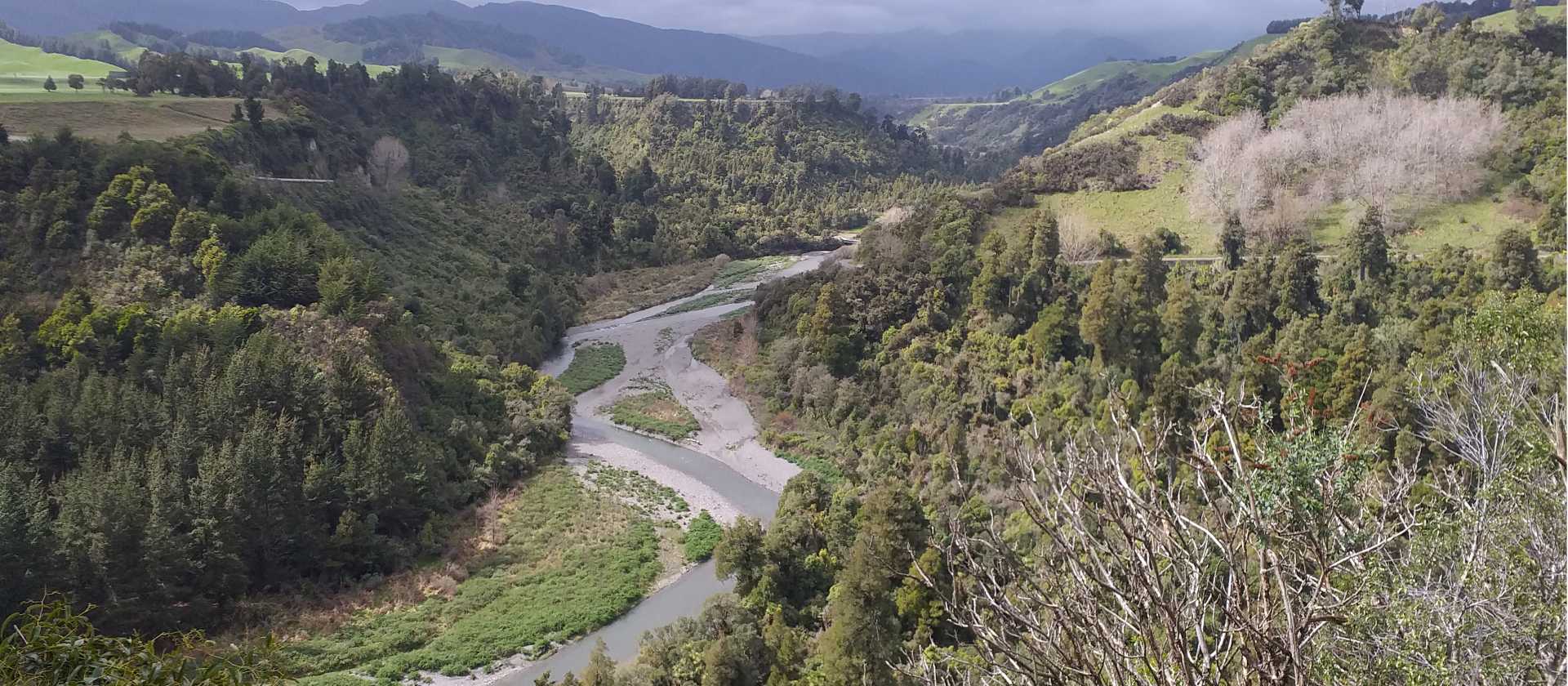 Whanganui River | Anne Lowerson