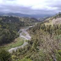 Whanganui River | Anne Lowerson