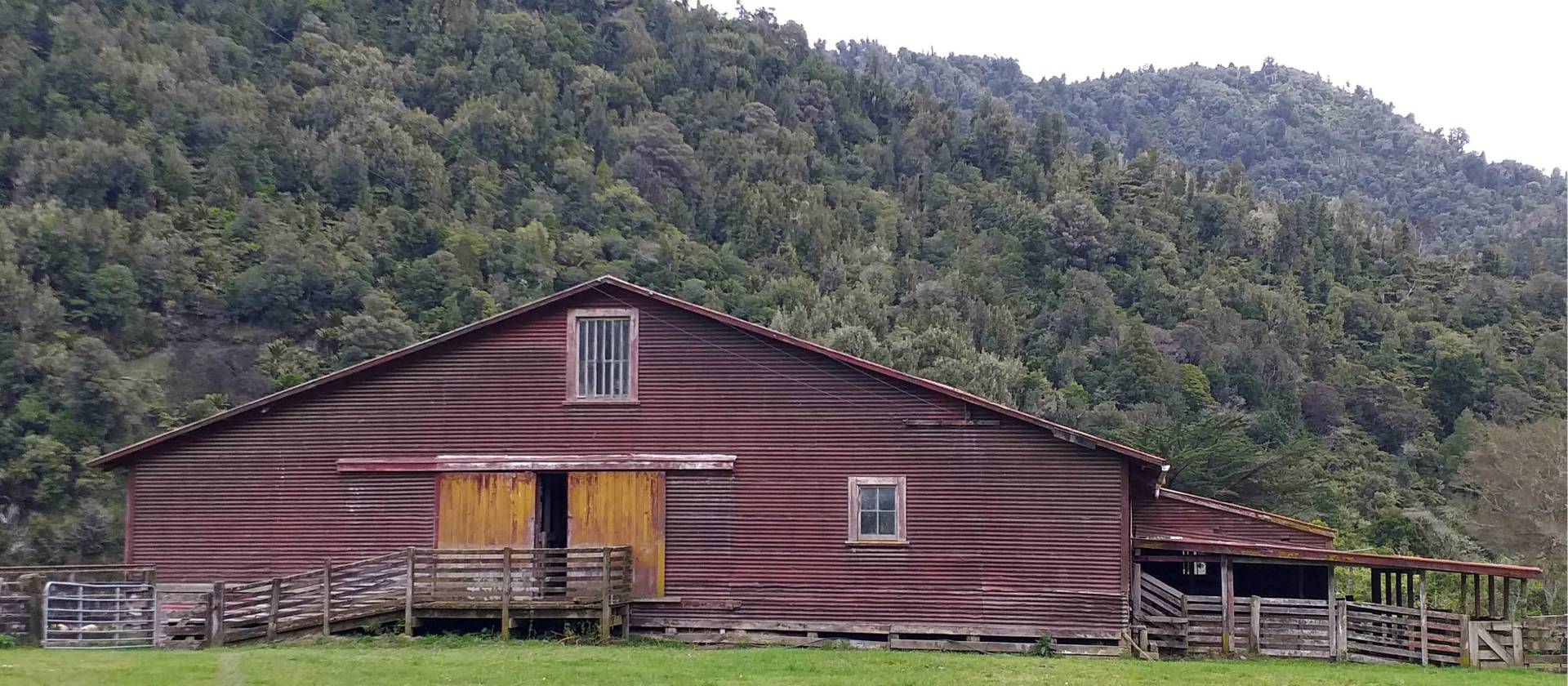 Typical North Island farm shed | Anne Lowerson