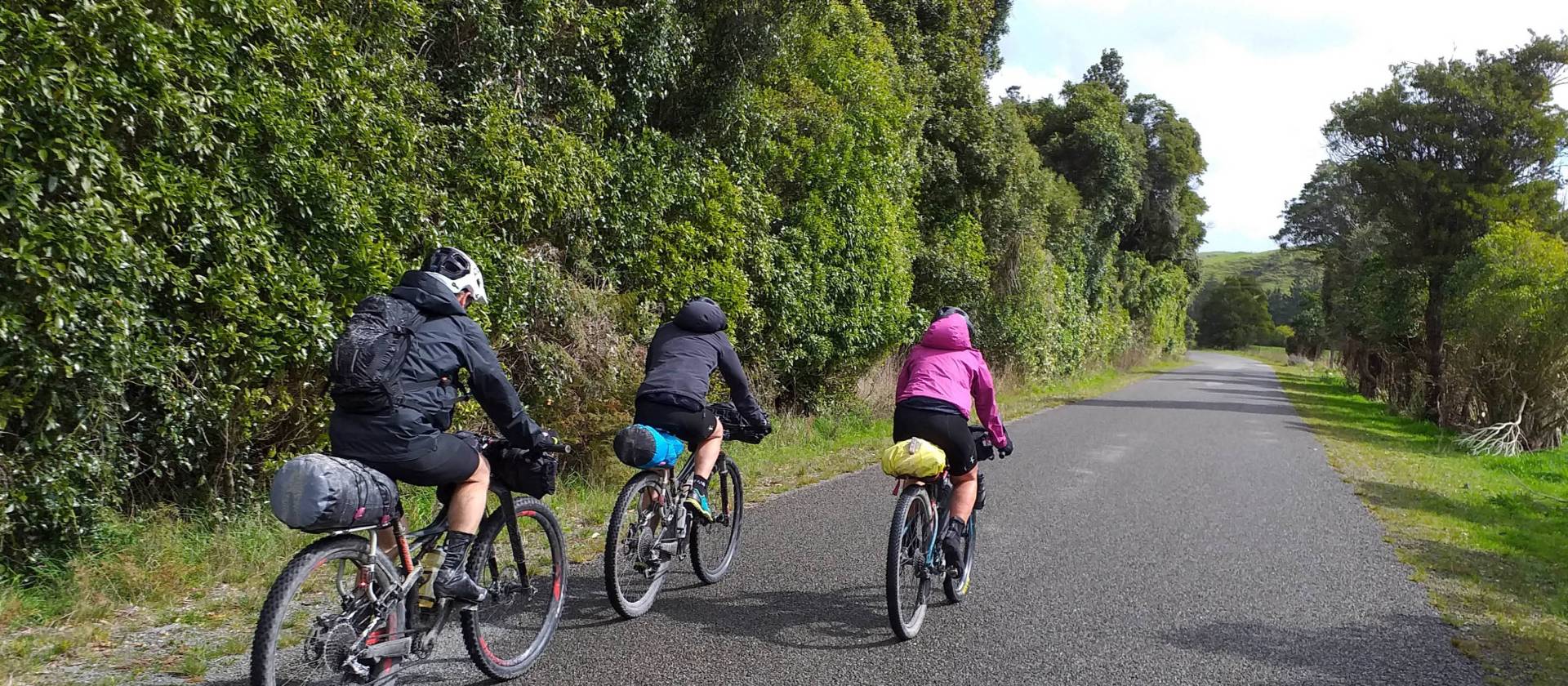 Lower North Island back country roads | Anne Lowerson