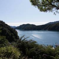 Marlborough Sounds | Carol Prantner