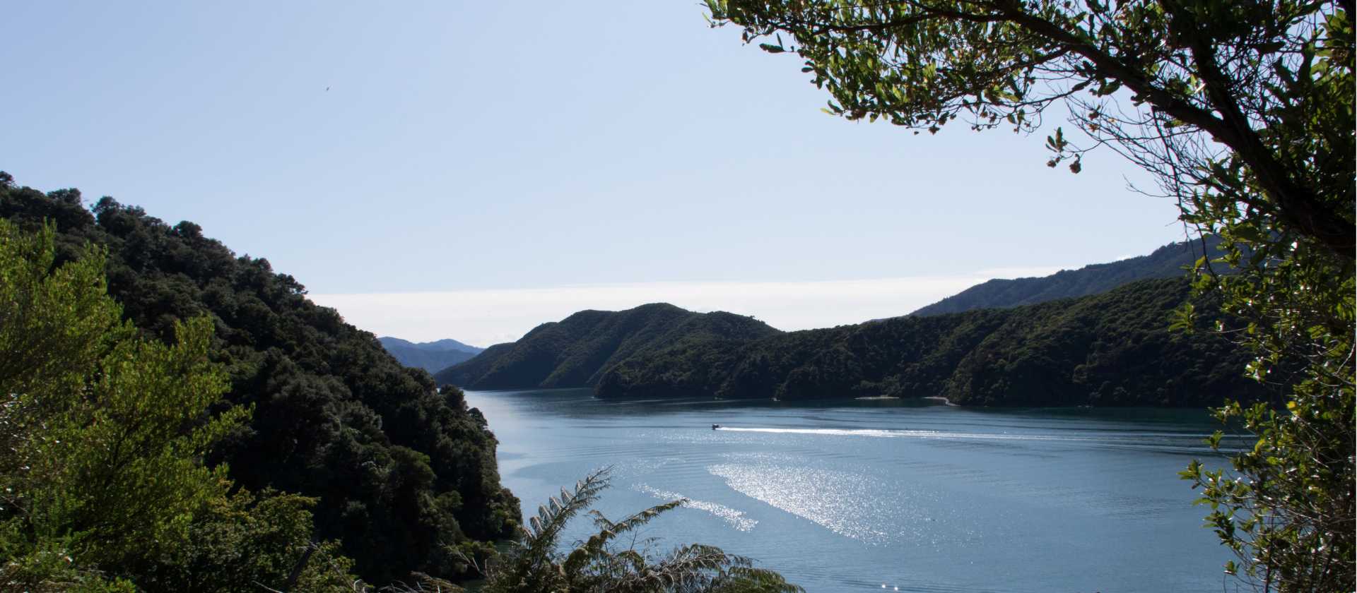 Marlborough Sounds | Carol Prantner