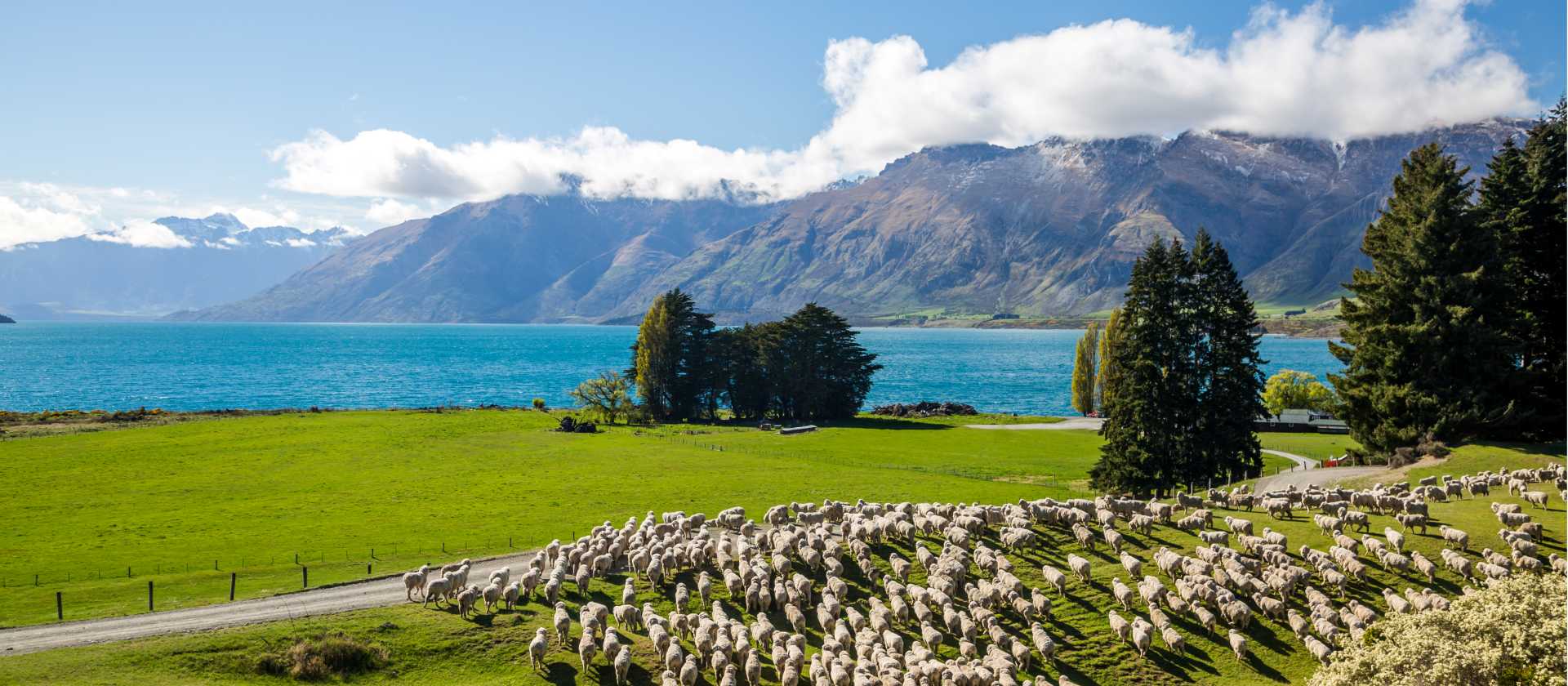 Mt Nicholas High Country Farm vist on the Milford Sound Cycle | Southern Discoveries