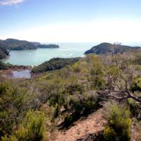 Ocean views from the Abel Tasman walking track | Mikey Owens