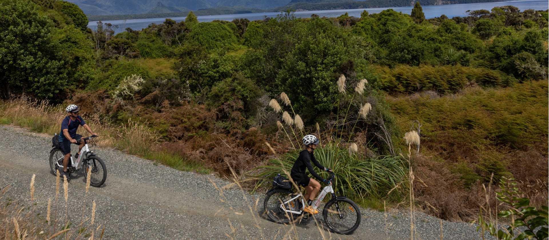 Ride between two gorgeous Fiordland Lakes, Te Anau and Manapouri, spotting unique native flora & fauna along the way! | Izzi Barton