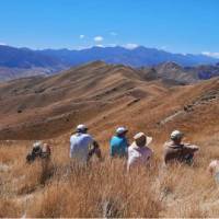 Admiring vast views of the Middlehurst Station on a 4WD tour | Heather Galliger
