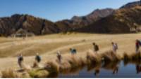 Tussock lands and Tarns of Ben Lomond Station |  <i>Colin Monteath</i>