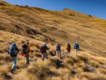 Vast tussock lands of Ben Lomond Station |  <i>Colin Monteath</i>