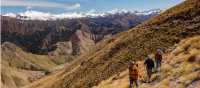 Walking through the tussocklands of Ben Lomond Station | Colin Monteath