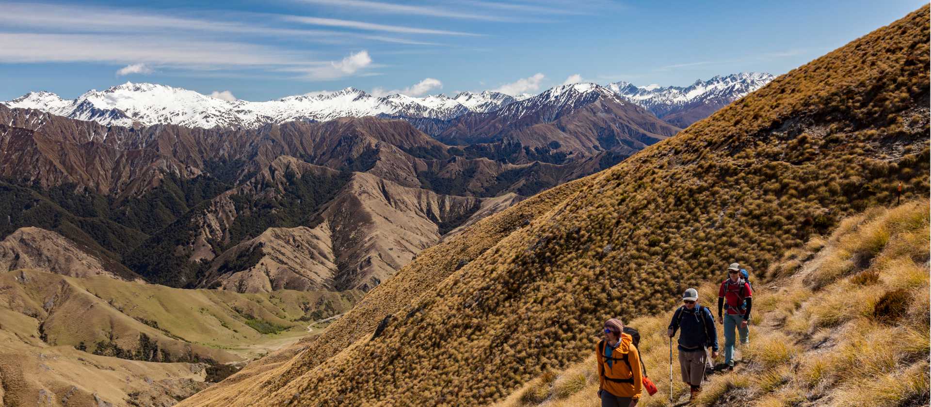 Walking through the tussocklands of Ben Lomond Station | Colin Monteath