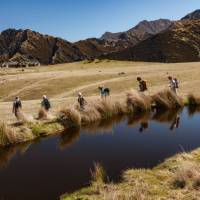 Tussock lands and Tarns of Ben Lomond Station | Colin Monteath