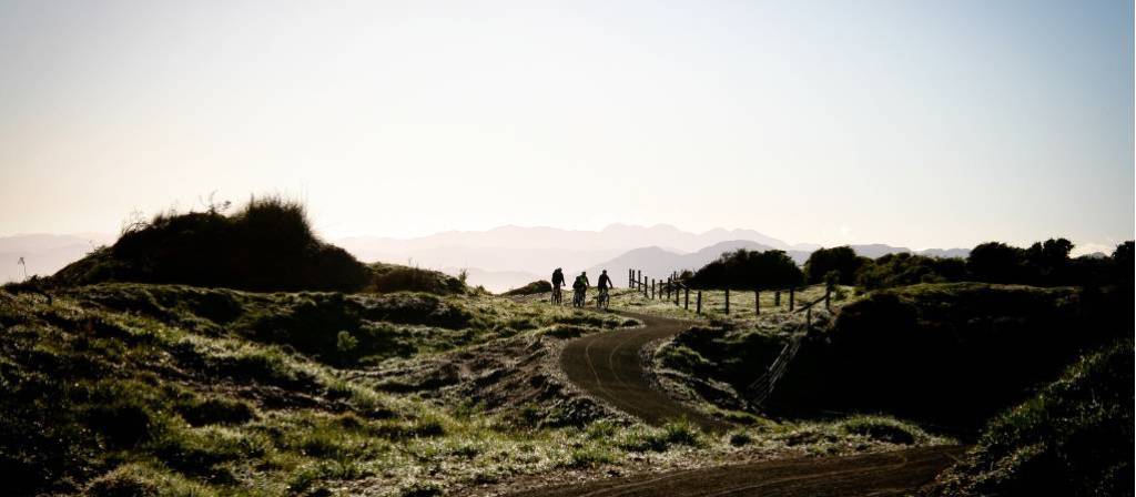 Motu cycle trail