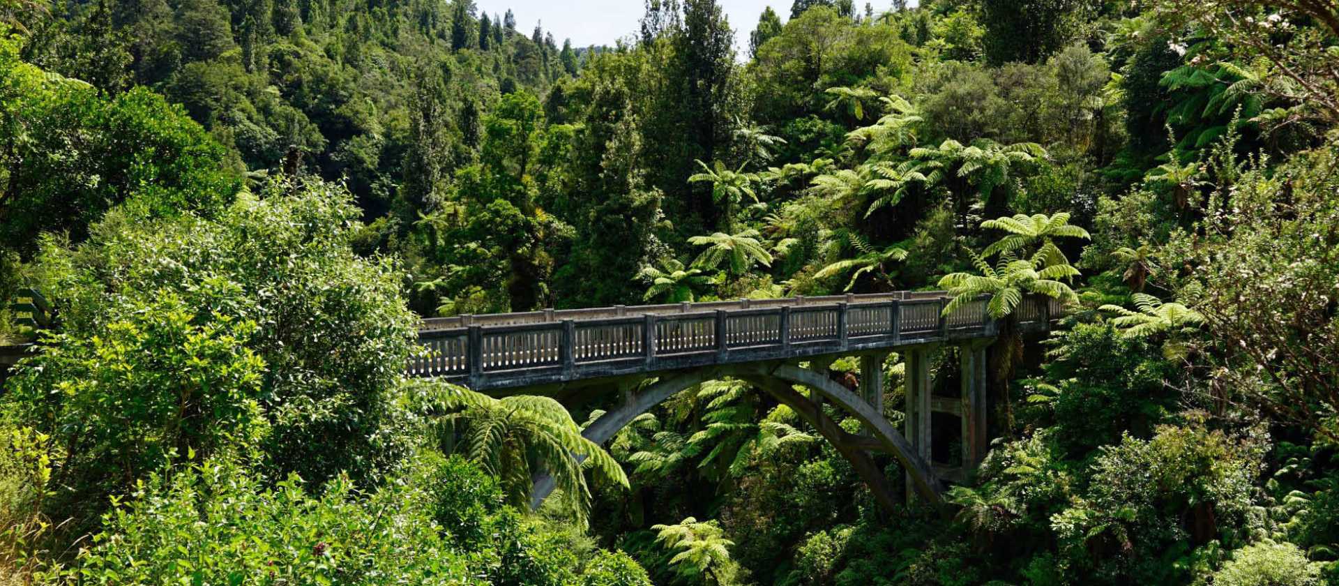 Scenery along the Mt Ruapehu & the 3 Rivers cycle | Adventure South NZ