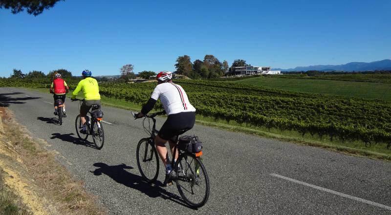 Cycling alongside the many vineyards along the Nelson Great Taste Trail |  <i>Rossco Daubney</i>