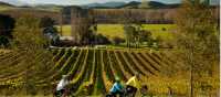 Cycling on their way to the next winery | Colin Monteath