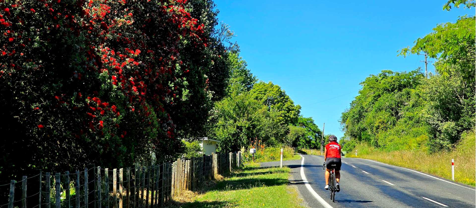 North Island Central Plateau Loop (credit: Adventure South) | Annie Lowie