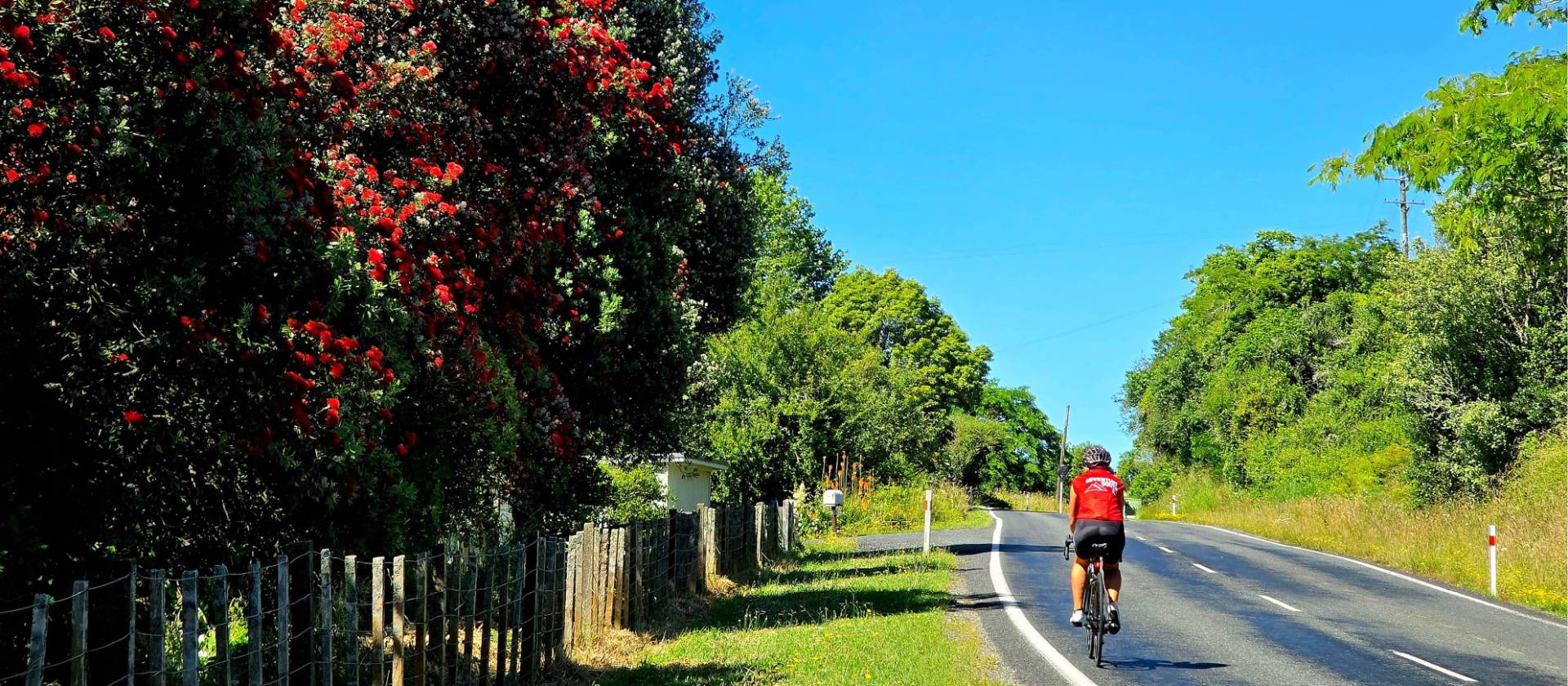 North Island Central Plateau Loop (credit: Adventure South) | Annie Lowie