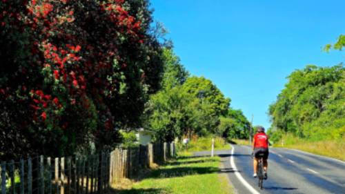 North Island Central Plateau Loop (credit: Adventure South) | Annie Lowie