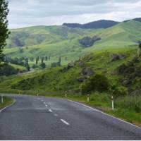 Pretty back roads of the North Island sweep through farming country | Jan Kaluza