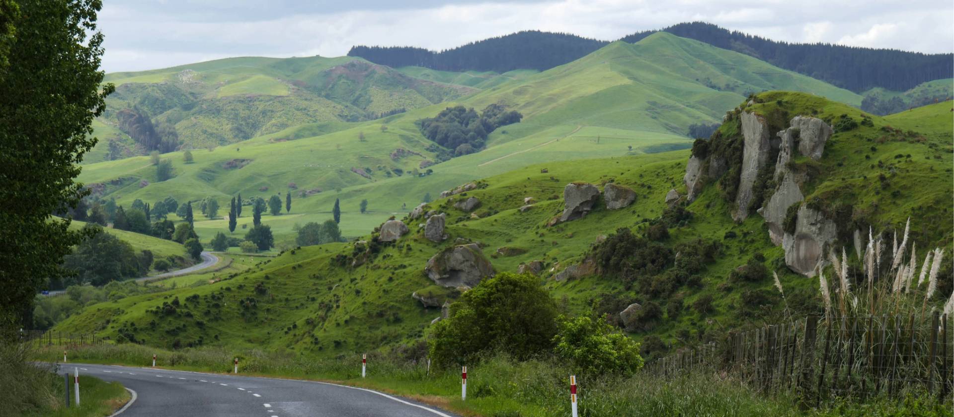 Pretty back roads of the North Island sweep through farming country | Jan Kaluza