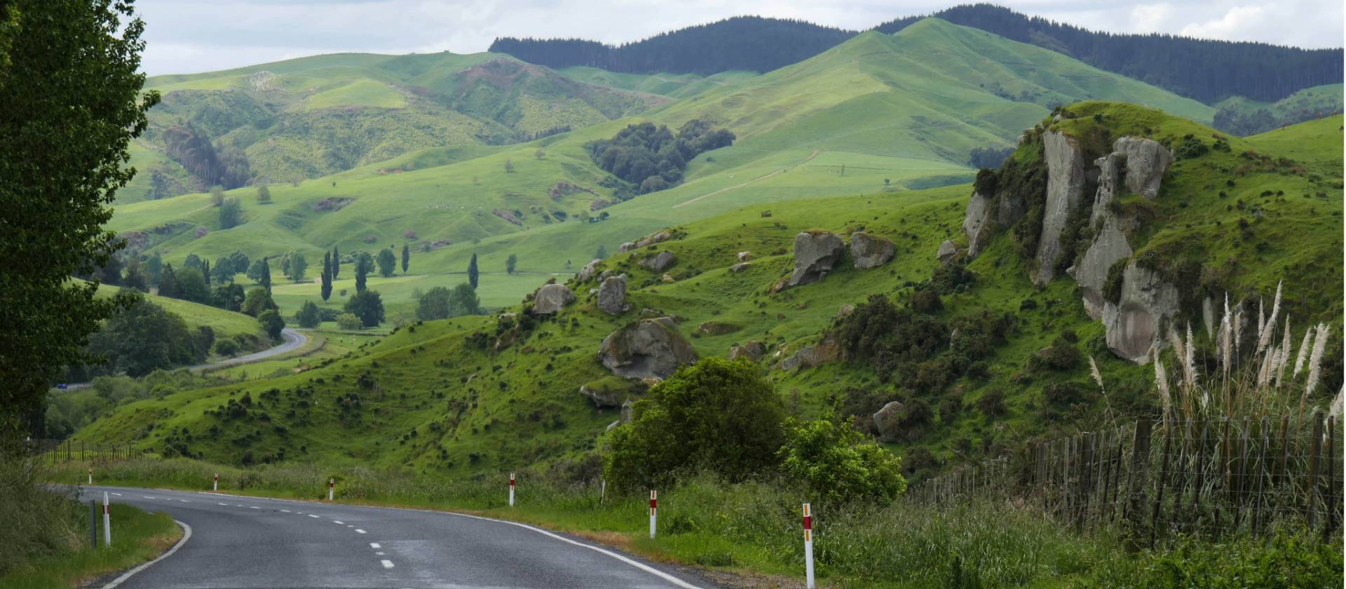 Pretty back roads of the North Island sweep through farming country | Jan Kaluza