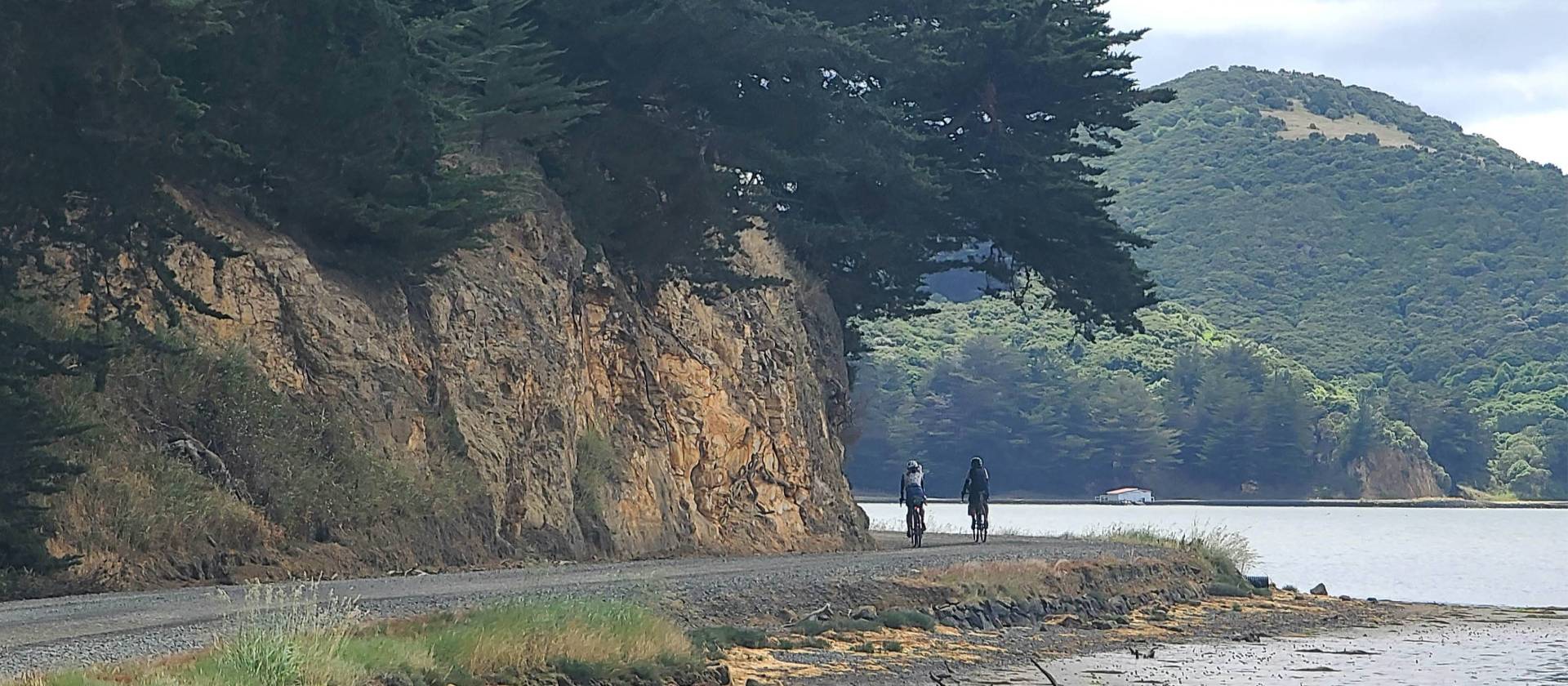 Otago Peninsula Hoopers Inlet | Annie Lowerson
