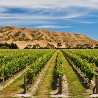 Panorama of Awatere vineyards | Colin Monteath