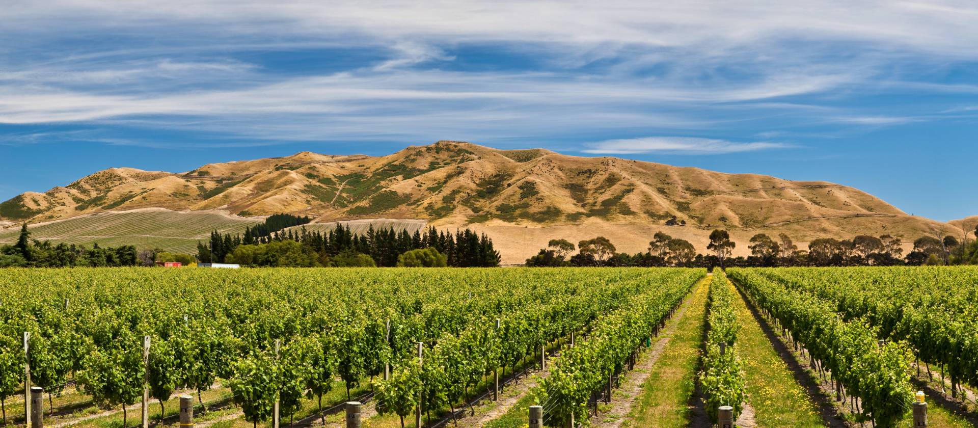 Panorama of Awatere vineyards | Colin Monteath