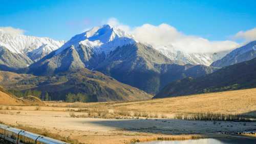 Glide through the towering Tiritiri-o-te-moana / Southern Alps aboard the TranzAlpine — a spectacular prelude to your West Coast cycling journey. | Jay French