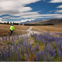 Pausing to take in the scenery on the Molesworth High Country cycle | Colin Monteath