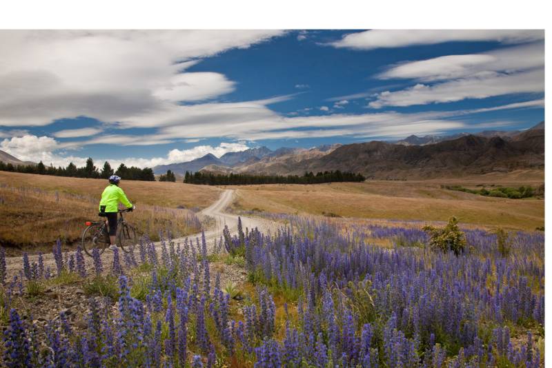 Pausing to take in the scenery on the Molesworth High Country cycle |  <i>Colin Monteath</i>