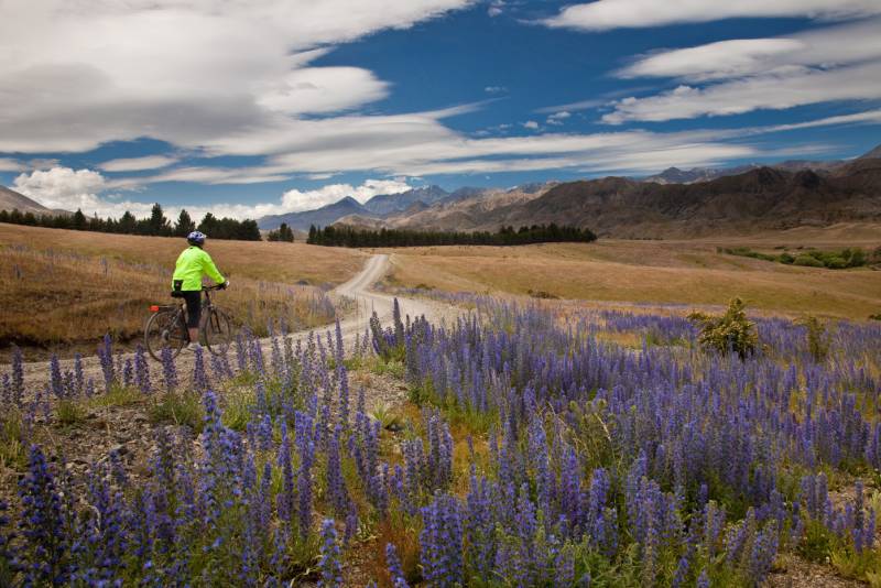 Pausing to take in the scenery on the Molesworth High Country cycle |  <i>Colin Monteath</i>