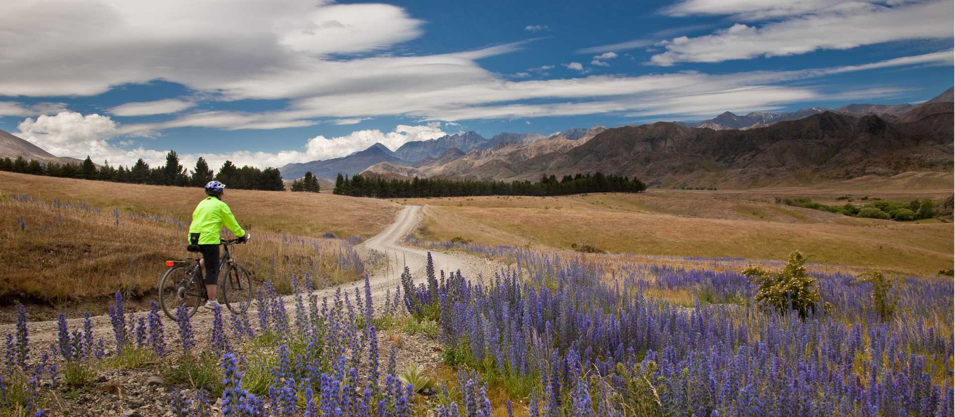 Pausing to take in the scenery on the Molesworth High Country cycle | Colin Monteath