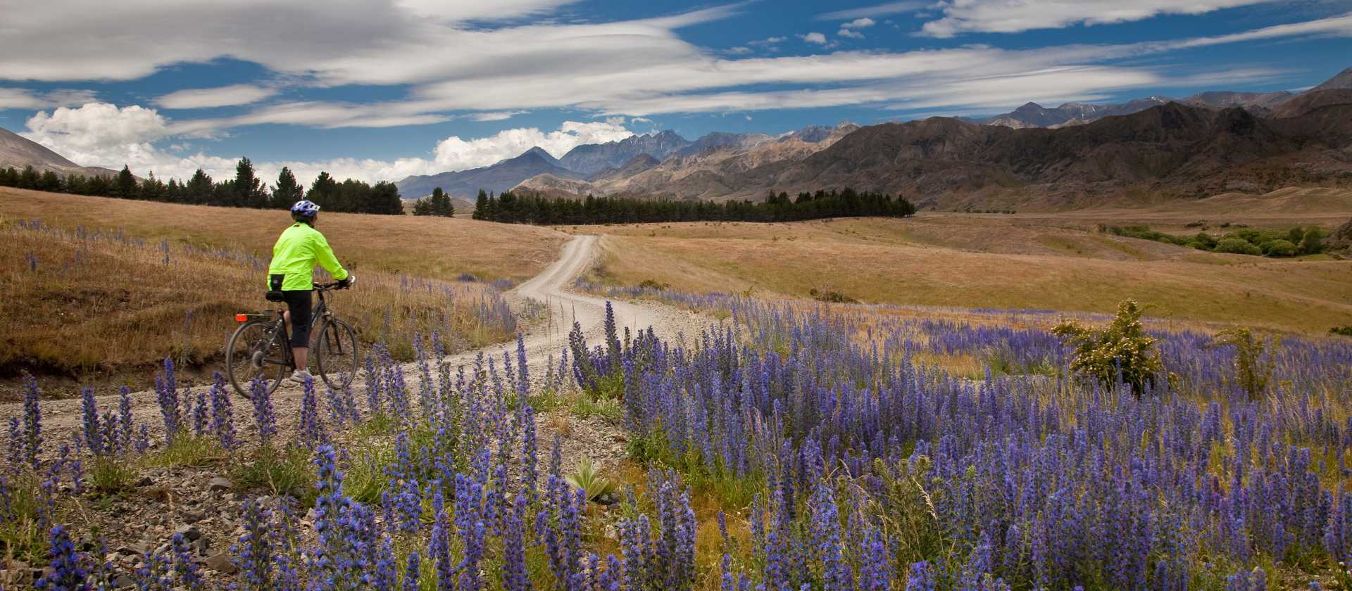 Pausing to take in the scenery on the Molesworth High Country cycle | Colin Monteath