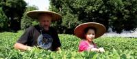 Tea plantations |  <i>Tim de Jong</i>