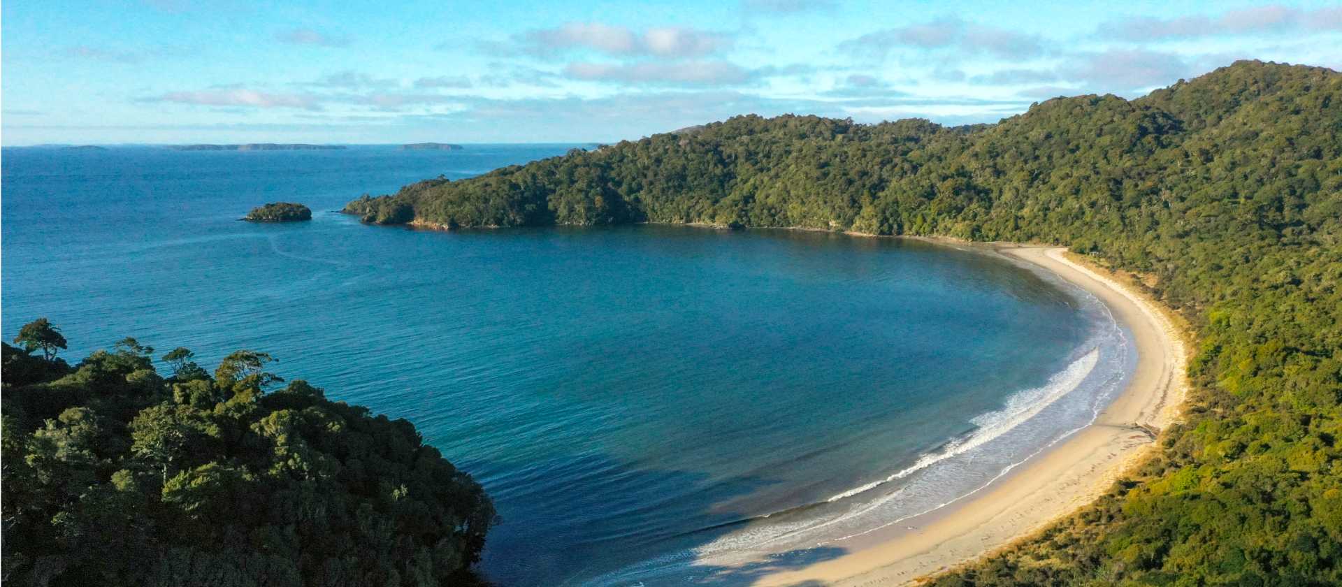 Rakiura Track - Southland, NZ (Credit Tourism New Zealand) | Tourism New Zealand