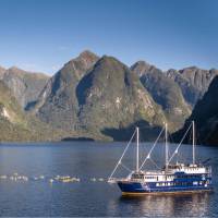 Exploring Milford Sound on an overnight cruise is a highlight of the trip | Real Journeys