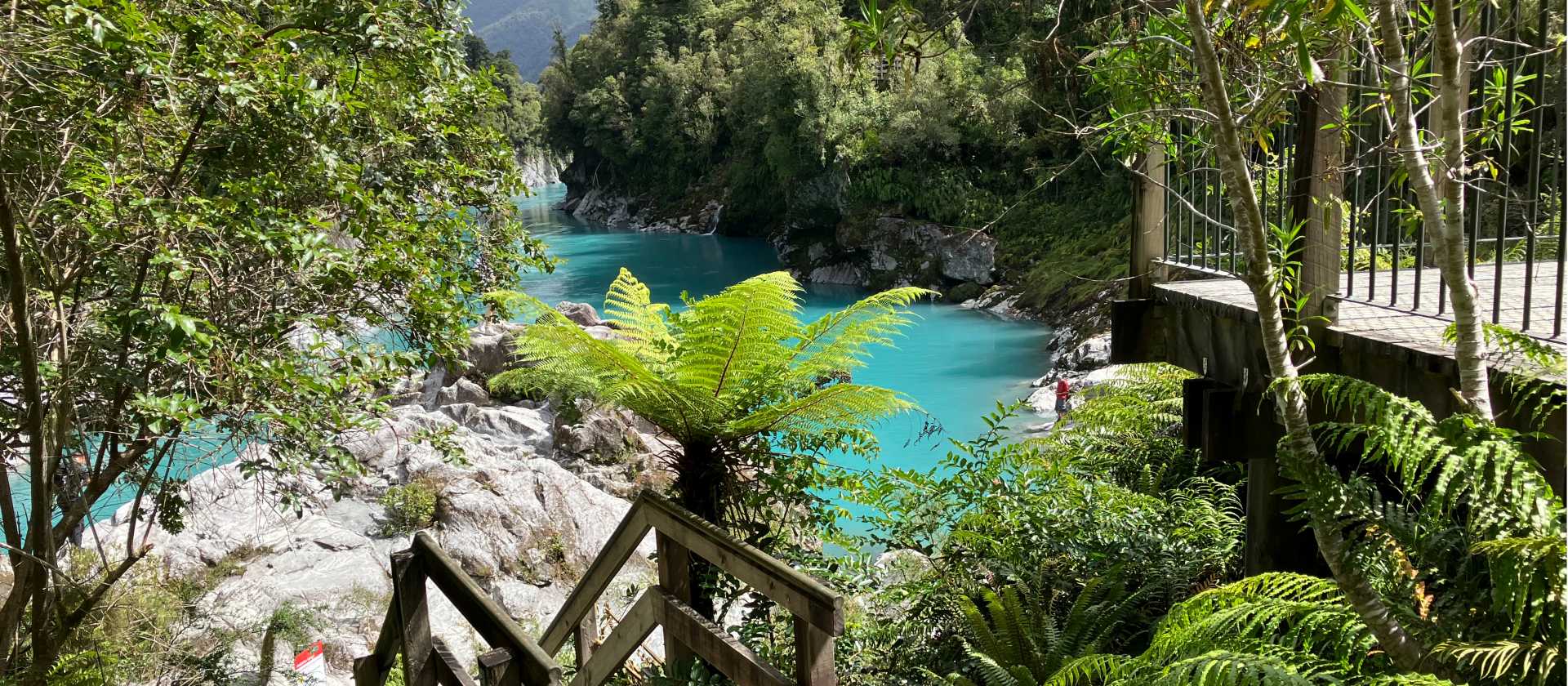 Guest photo on the West Coast Wilderness